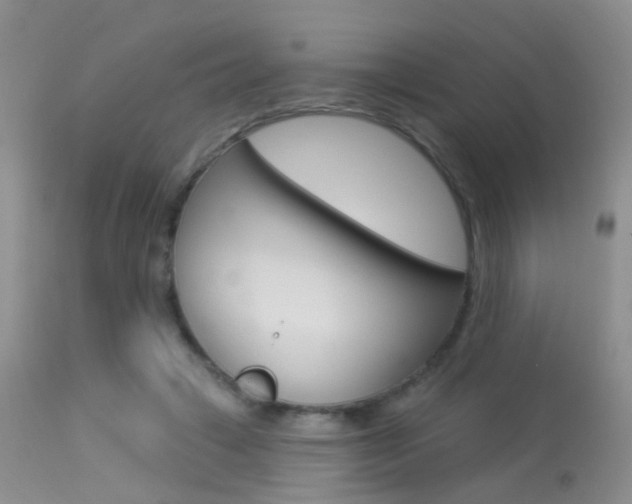X0000113630449200909181309