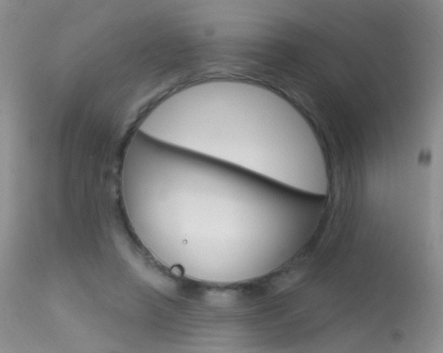 X0000113630450200909181309