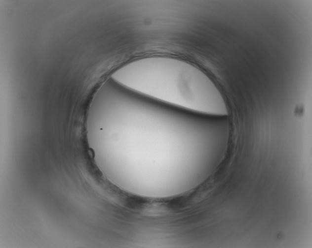 X0000113630451200909181309