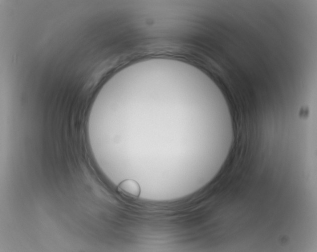 X0000113630452200909181309
