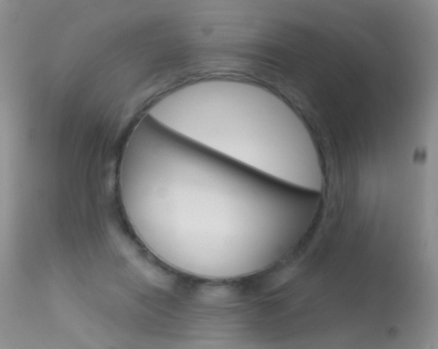 X0000113630454200909181309
