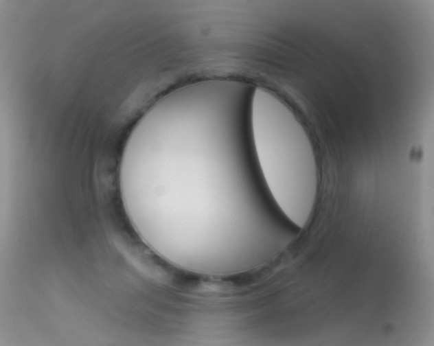 X0000113630455200909181309