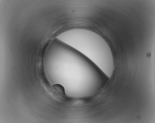 X0000113630456200909181309