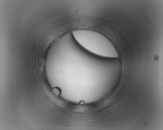 X0000113630458200909181309