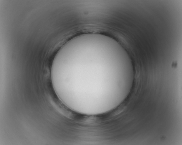 X0000113630459200909181309