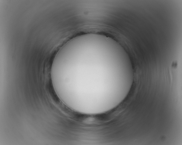 X0000113630460200909181309