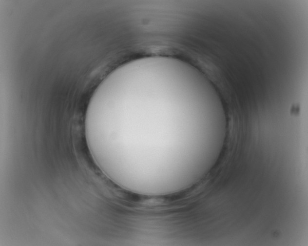 X0000113630461200909181309