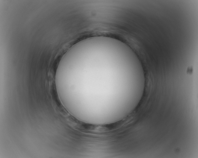 X0000113630463200909181309