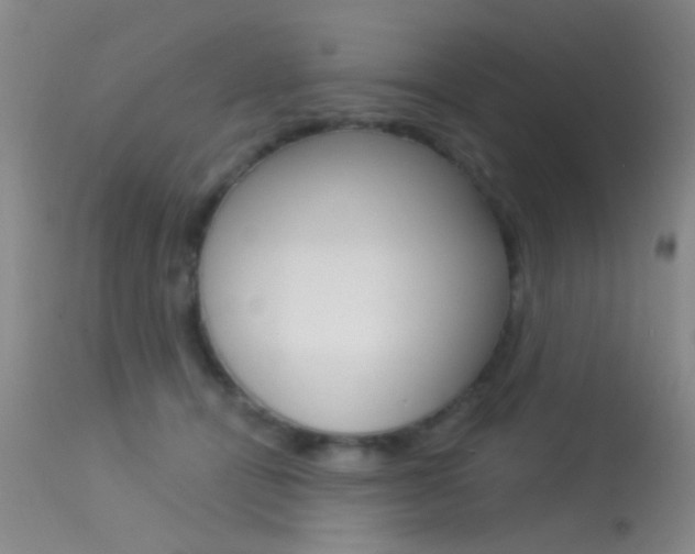 X0000113630464200909181309