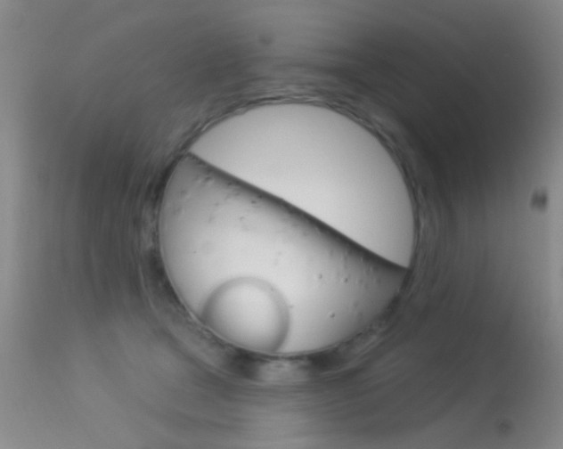X0000113630465200909181309