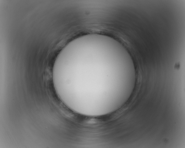 X0000113630467200909181309