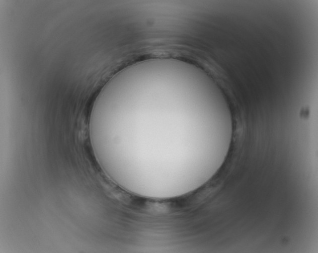 X0000113630469200909181309