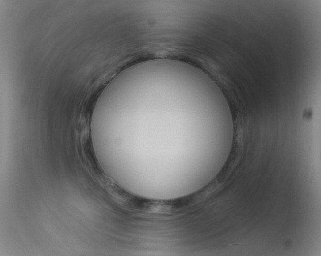 X0000113630471200909181309