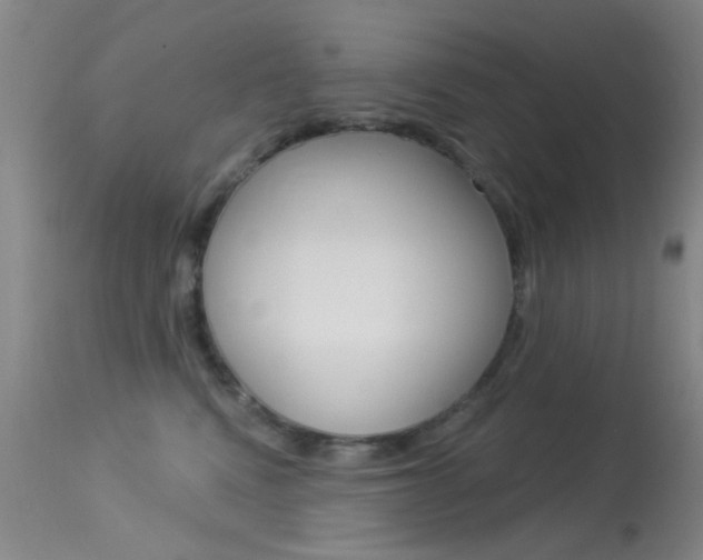 X0000113630472200909181309