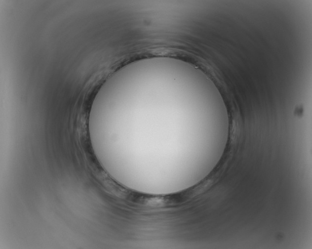 X0000113630473200909181309