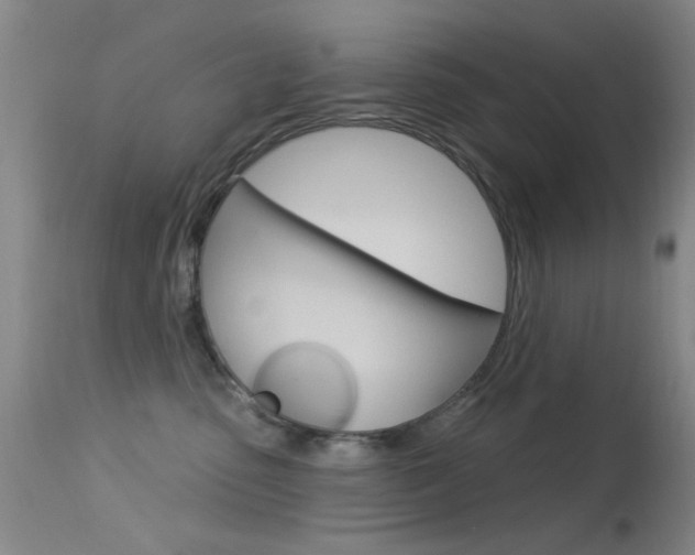 X0000113630475200909181309