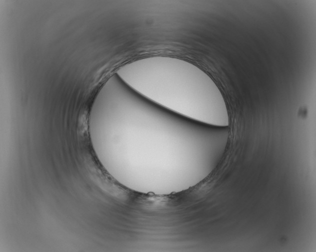 X0000113630478200909181309