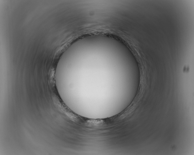 X0000113630480200909181309