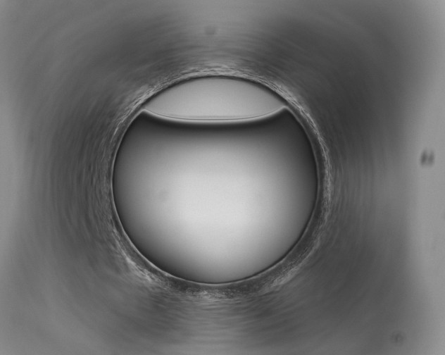X0000113630481200909181309