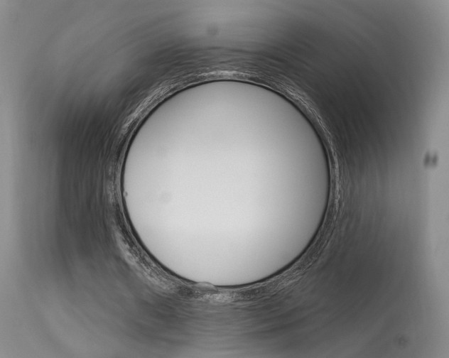 X0000113630482200909181309