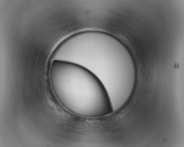 X0000113630484200909181309