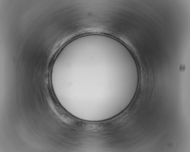 X0000113630486200909181308