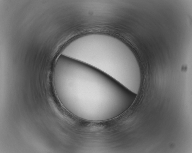X0000113630491200909181308