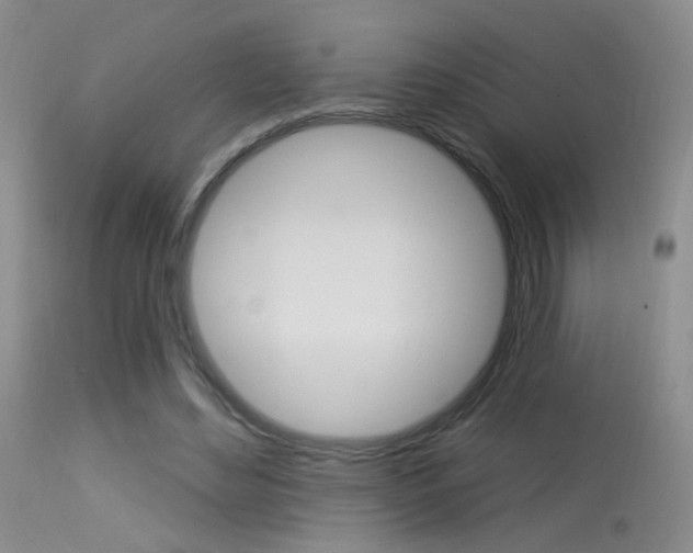X0000113630492200909181308