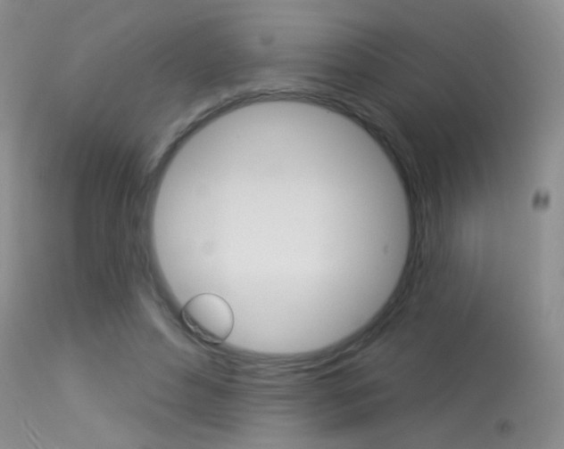 X0000113630496200909181308