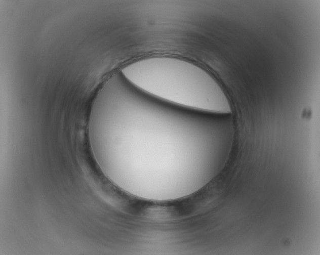 X0000113630499200909181308