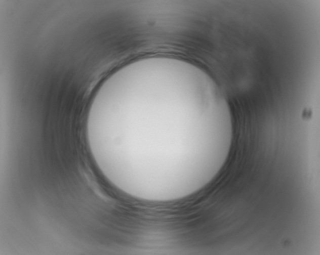 X0000113630500200909181308