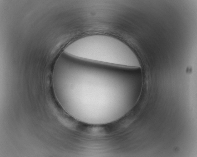 X0000113630501200909181308