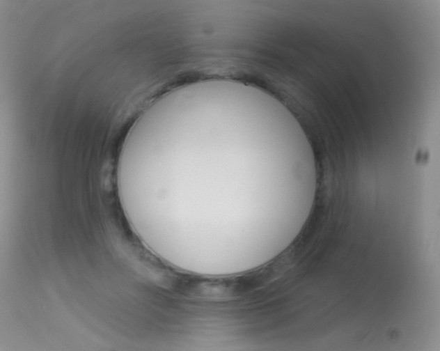 X0000113630502200909181308