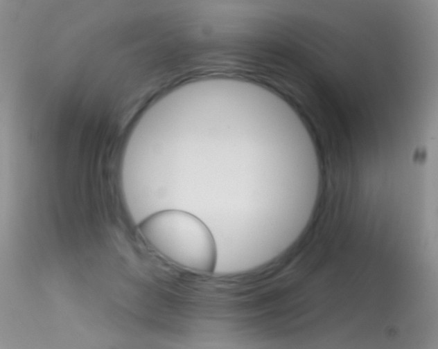 X0000113630504200909181308