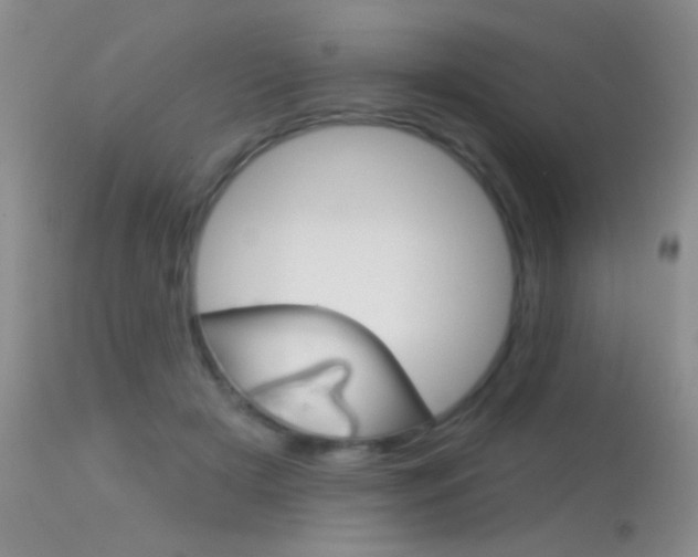 X0000113630505200909181308