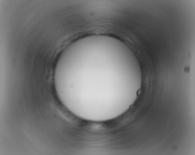 X0000113630507200909181308
