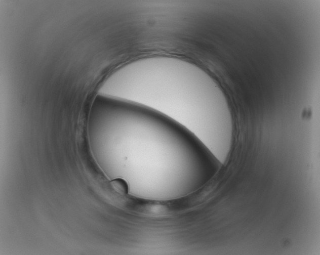 X0000113630509200909181308