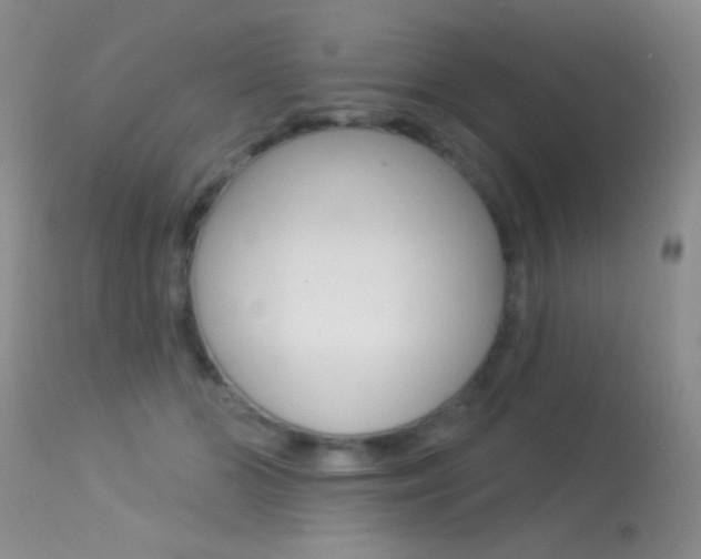 X0000113630510200909181308