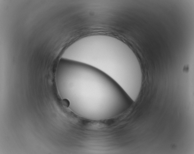X0000113630512200909181308