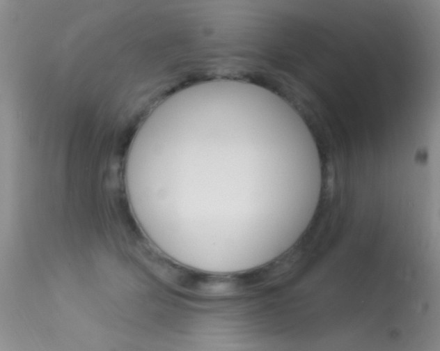 X0000113630514200909181308