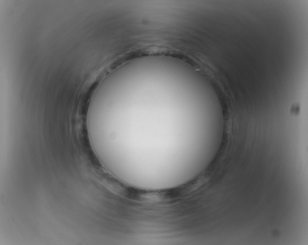 X0000113630516200909181308