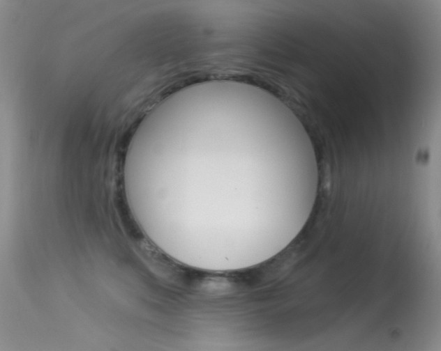 X0000113630519200909181308