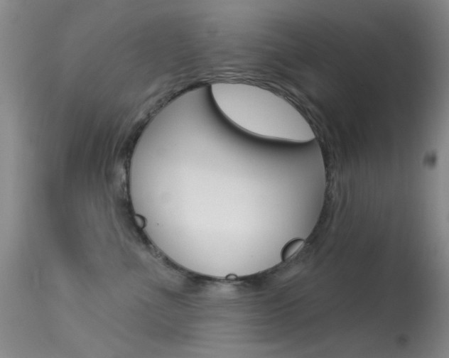 X0000113630523200909181308