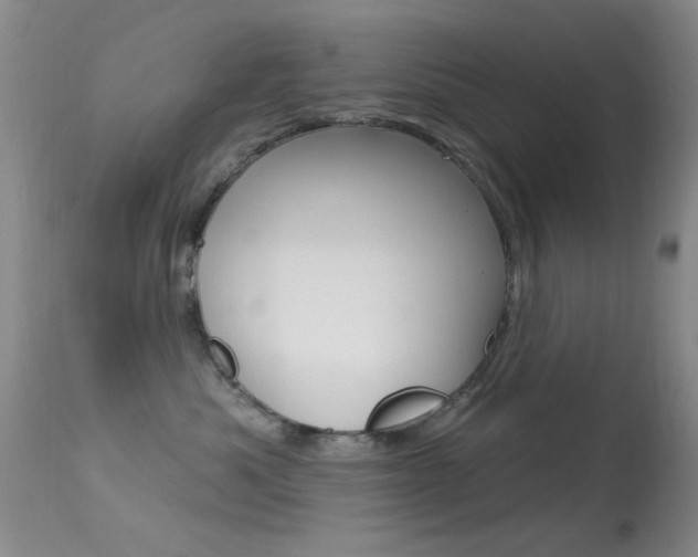 X0000113630525200909181308