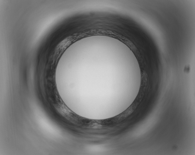 X0000113630526200909181308