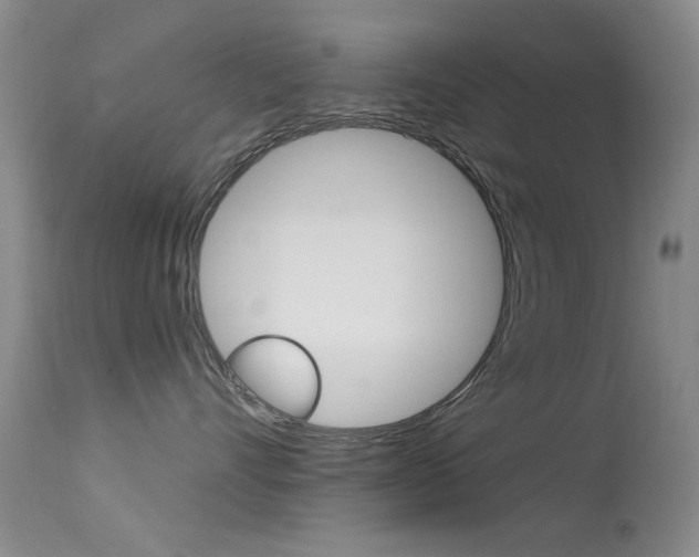 X0000113630528200909181308