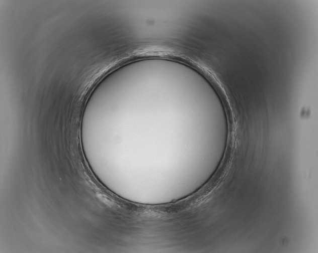 X0000113630529200909181307