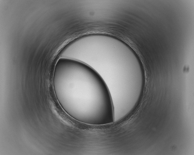 X0000113630530200909181307