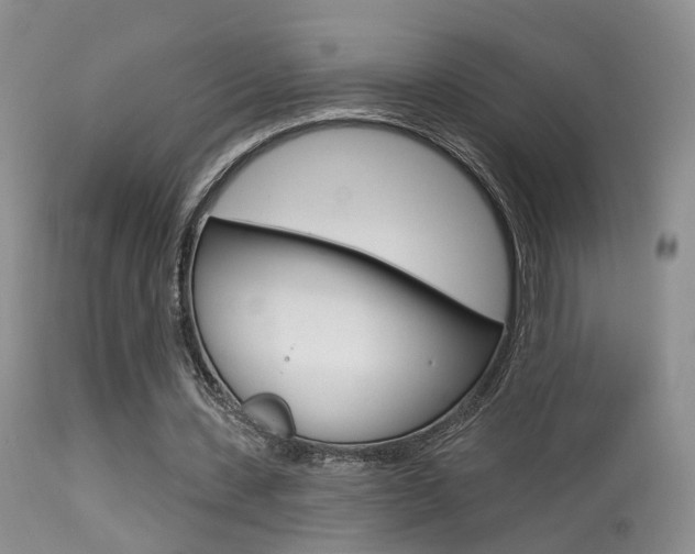 X0000113630531200909181307