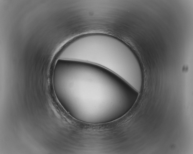 X0000113630532200909181307